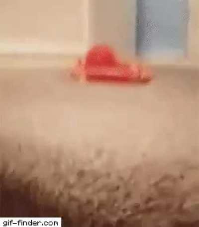 RC won't be speaking... Loopring ain't ready, he won't be giving MSM/SHF/competition any ammo. And that's good. HODL.