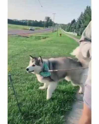 Who put that there??