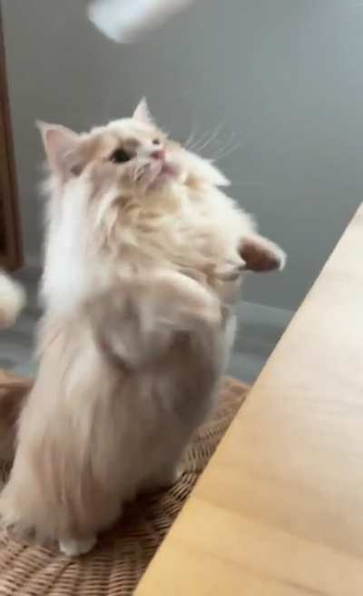 never lasting game makes life happy