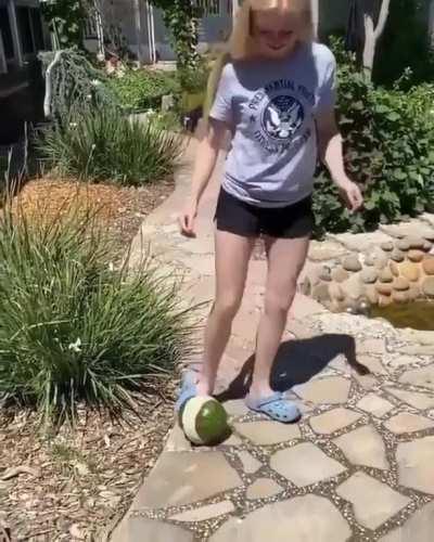 To break a watermelon upon impact