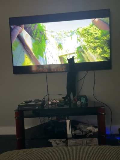 Void wants to go too ☺️