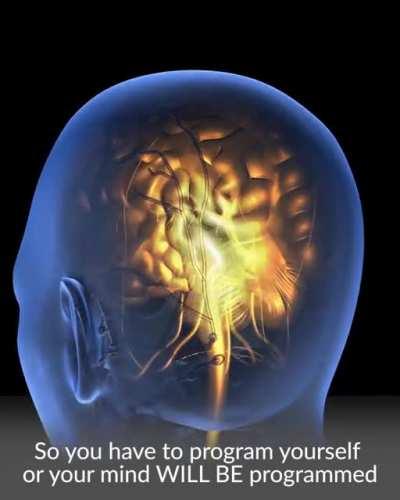 This is what reading everyday does to your brain.