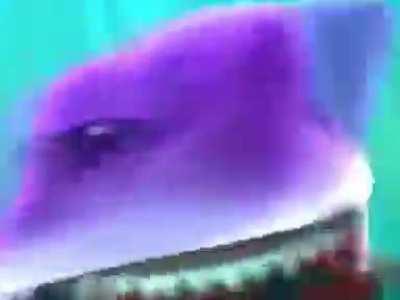 HOTWHEELS ARABAN SHARKYDEN KURTULABiLiR Mi SENi CANLI CANLI YUTAR ĞĞAĞHĞAHĞĞĞ BiR DAHA DENE SENi ŞANSLI ARABA FIRLAT AĞĞĞĞĞĞH BU ACIDI IAAĞĞĞĞĞĞH iŞTE BUNA KAZA DERiM HOTWHEELSTAN ÇILGIN SHARKY SAHİLDE