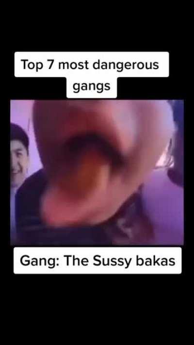 The Sussy bakas