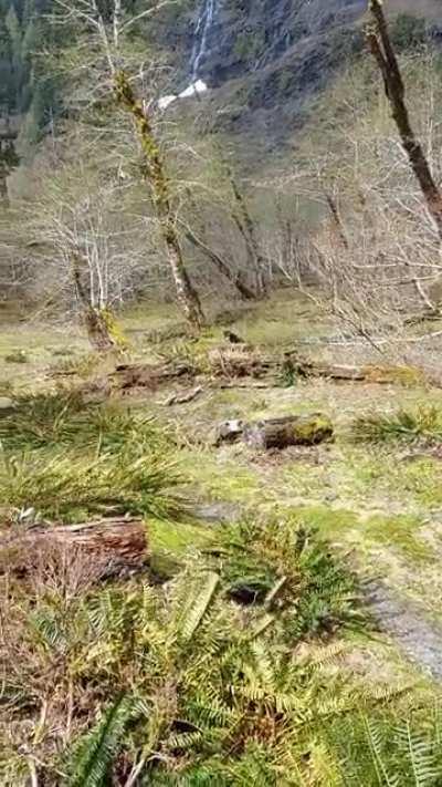 IRL Valheim Biomes (audio on)