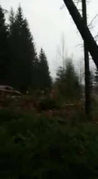 It’ll buff right out