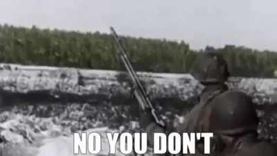 How to anger wherbs alike