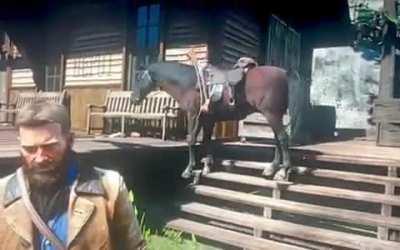 now my horse is broken 😂