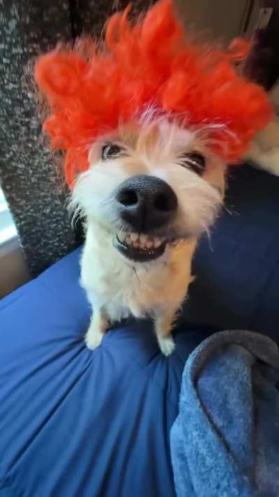 ropopo🗣️🗣️🗣️🗣️🔥🔥🔥🔥