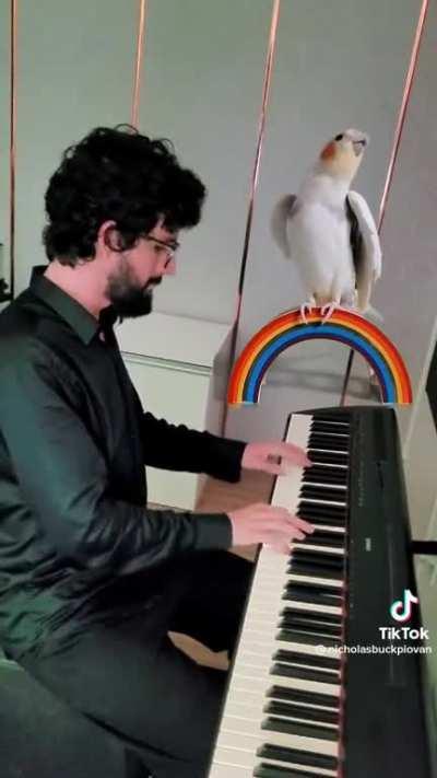 Best opera singing birb