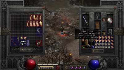 Got 10 Torches to ID!