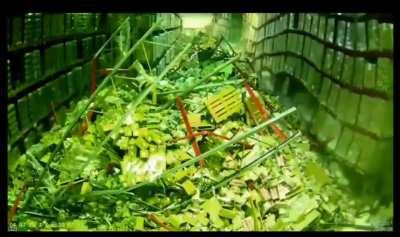 Forklift malfunction just wait for it...