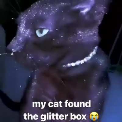 gleebbsnohrorbovsivsiveiebob