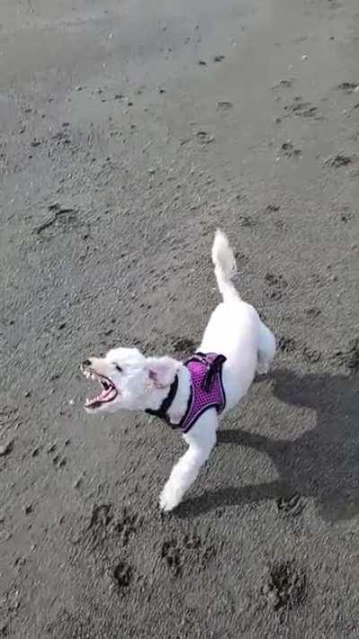 lupita peleando con un el viento...o un yautja probablemente
