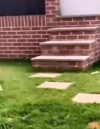 That kid learned nothing today