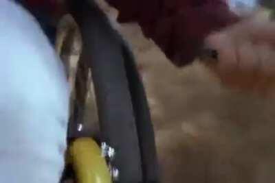 My portfolio since discovering WSB