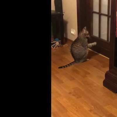 she’s smarter than me (´-﹏-`；)