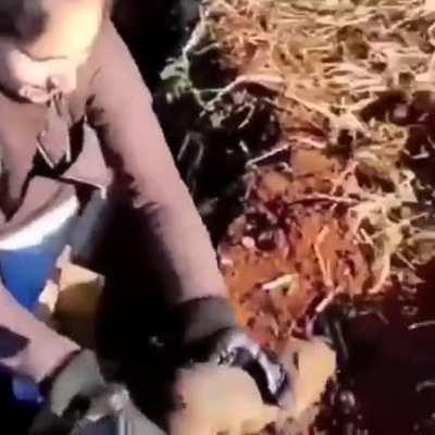 Thanks, I hate nature taking over