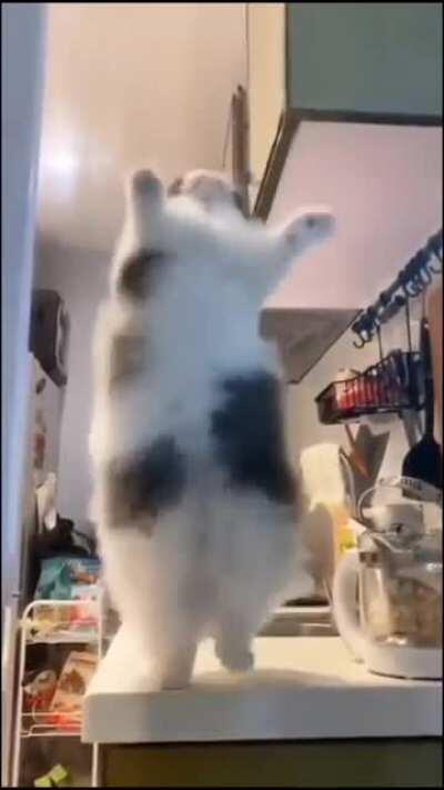 iyi geceleeer bi kaç post atıp uyuyacam(sabah postlara gelen yorumlara bakmak gibisi yok)