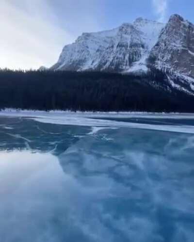 This is too beautiful to be real