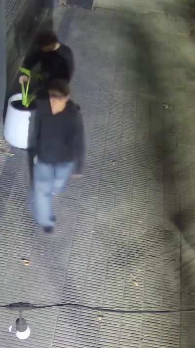 La Plata: Jóvenes quedaron escrachados después de intentar robarse una maceta, al no poder vandalizaron la plata