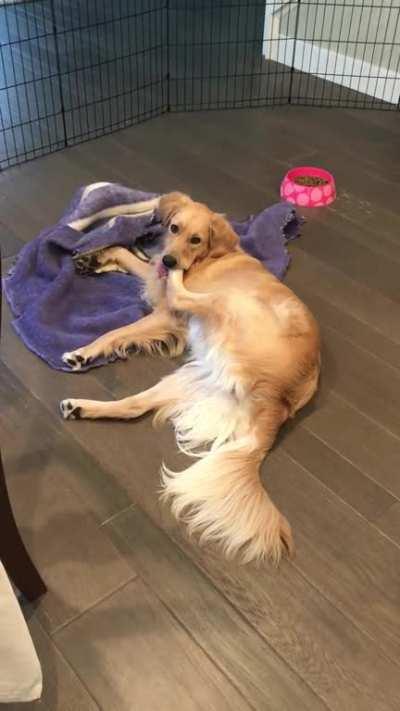 i recon its brain damage