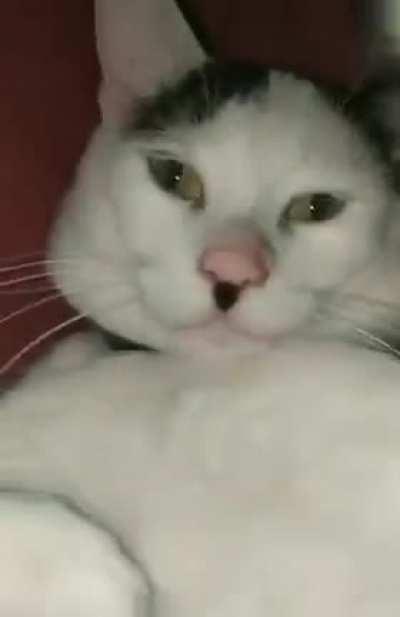 Another common repost here that will be removed when reposted