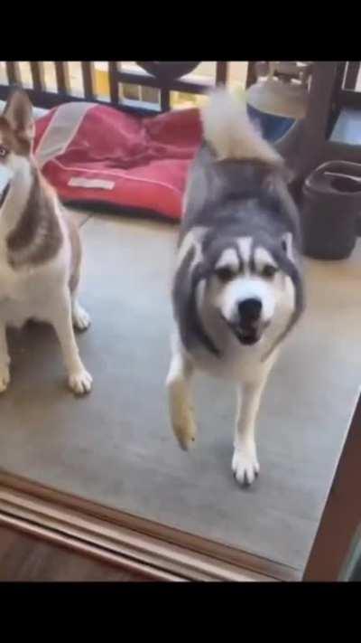 Everybody do the tippy tappy.