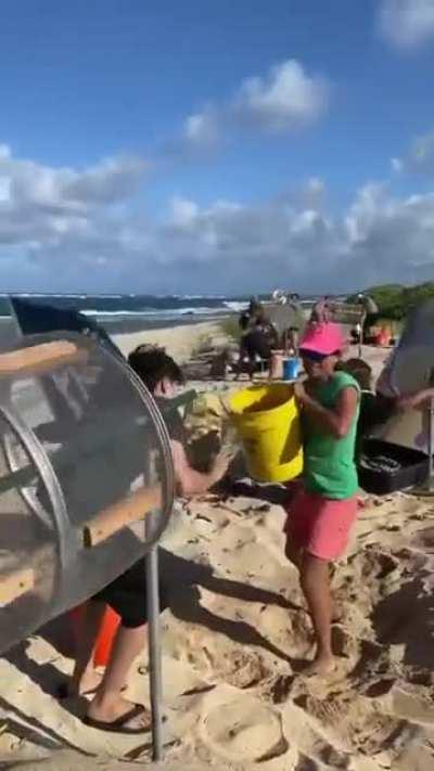 новый стартап