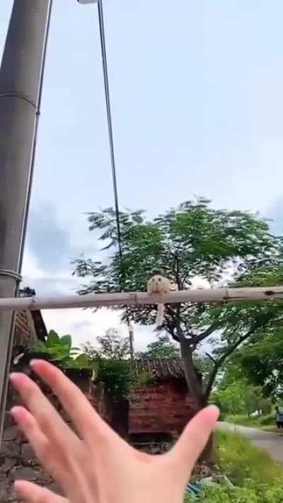 Amazing catch in the day.