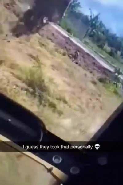 That's a shit ton of hornets