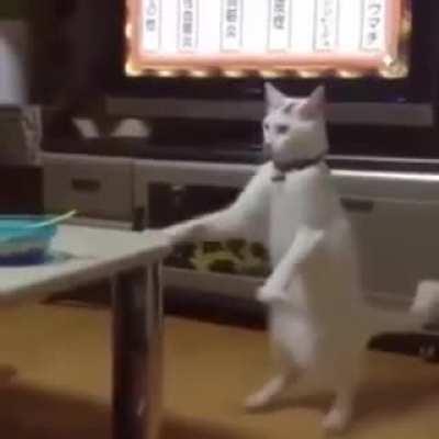 They're learning... changing... evolving...