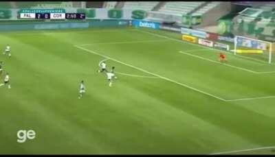 Palmeiras 4x0 Corinthians ao som de Raça Negra