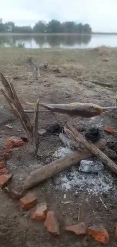 Disfrutando la gran pesca..!