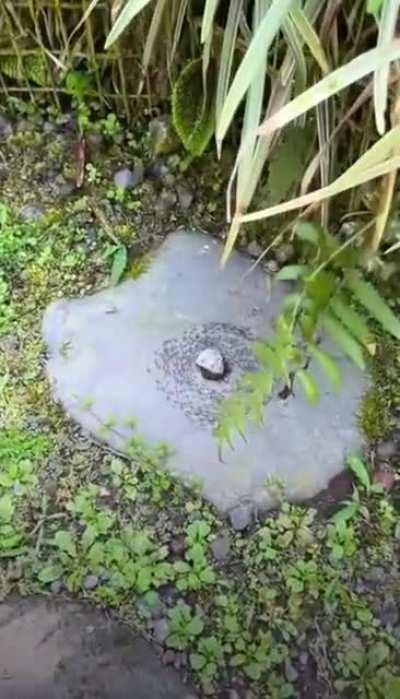 Very well. I, Ravana, fourfold master of the blade, do accept thy challenge