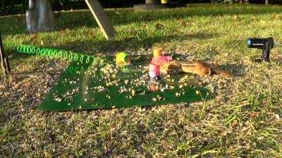 Yo dude! what is this thing? Reeoooowwwwwww