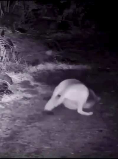 When you realize dinner comes with free perfume !