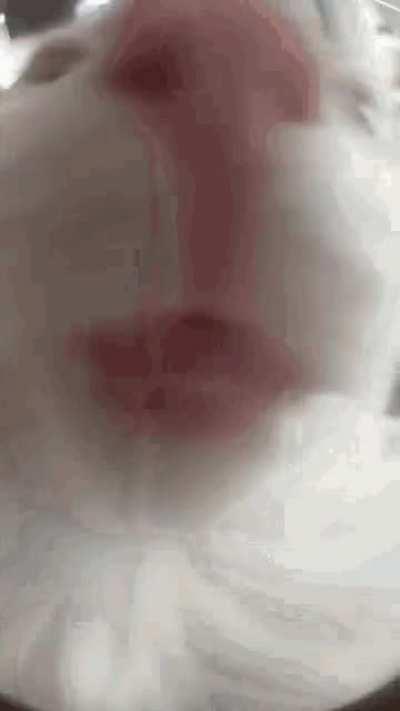 umm I just a̷̢̢̡͔͉̬͇̝̺̹̰̱̘͎̥̖̖̻͇̺͈͔͂̀͊͛̄͊́̎̀͛̉̈́̄̆̏͐͌͑̆͌͑̚͘̕͜͝ͅͅt̵̡̢̗̪͇̫͚̫̫̲̙̻̰͖̰̰̠̰̟̫̥̖̯̩̭̗̰̝̯̞͉̣̝̬͚̻͓͙͈̳͙͎͓̐̽̾̍̐͒͠ȩ̵̛̛̟̺͇͇͉̥͇̘̦͙̞̗͍̣̪̟̦̩̄̆̉̓̀̓̂̀̌̀͘̚ ̴̧̻͈̱͖̪̩͈͚̘͈̟͉͚̒̈́͌́͆͌̄̈́͗͑͑͌̀̌̌̏̇̄̽̈́̈̏̌̒͌̄̃͛̃͑͗̅̕͘͜͝͝ͅā̷̧̛̀̌͌̾́̄̓̏̿̉̍̑̌̒́̂̅̀͊͂͛͒͛̾̎̔̀̔̈́͐̌̕͘̚ ̶̖̖̙̜̉̑́̿̒̐