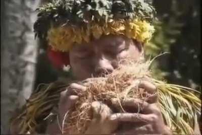 Natives demonstrating to make fire 