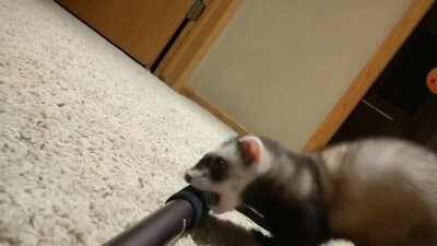 Come into the dark with me