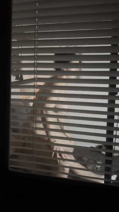 Squatting on that cock