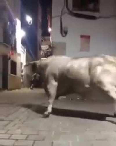 Hold this bulls red bull!!