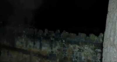 Frogging around with the boys