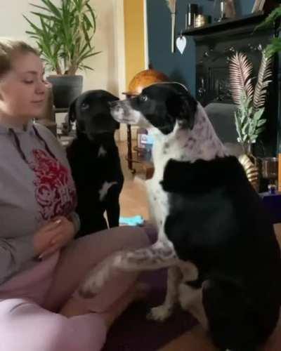 Meditation was never an option 😊