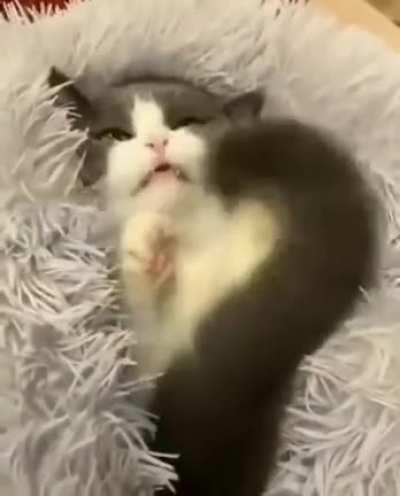 Pra melhorar seu dia