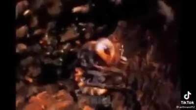 Get outta here get clapped on