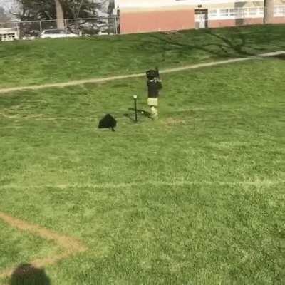 I miss seeing stuff like this on this sub