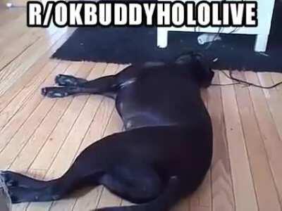 this is what happens if you join the discerd server!!!! :yagoosus: