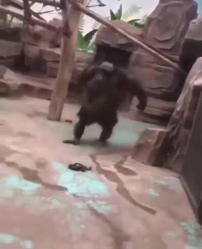 Any clue what this is?