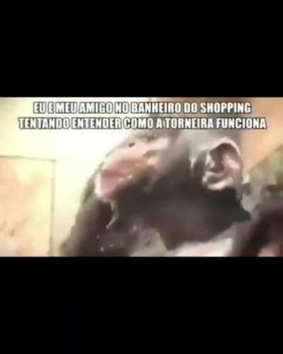 ShitpostBR - Video #4667